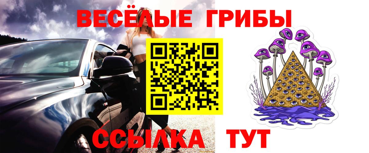 Знаменск  Псилоцибиновые грибы MAGIC MUSHROOMS  Вход с VPN 